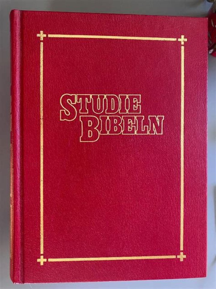 Studiebibeln (bd. 15) av Thoralf Gilbrant, Ber.. K&ouml;p p&aring; Tradera