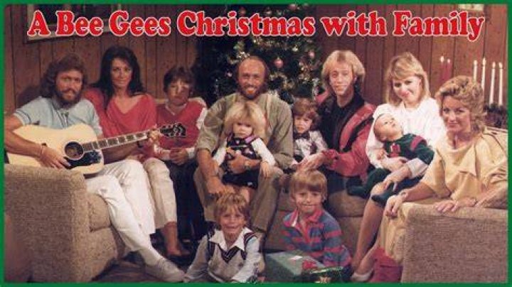 The Bee Gee Family Bee gees, Barry gibb, Andy gibb
