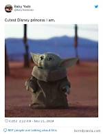 The Best, Cutest Baby Yoda Memes on the Internet