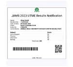 "The Highest Jamb Score in Delta": Utme Result of 16-Year-Old Boy Who Smashed 2024 Exam Surfaces