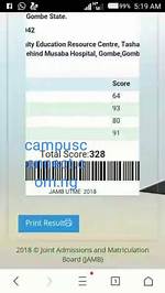 "The Highest Jamb Score So Far": Screenshot Showing Boy's 2024 Utme Result Goes Viral