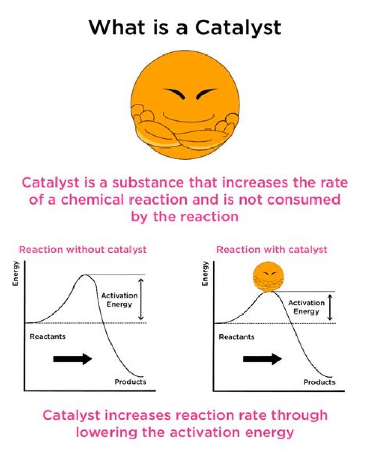 The importance of catalyst