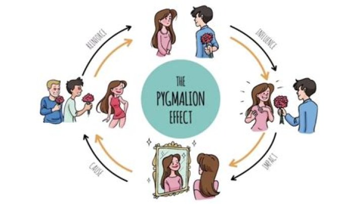 The Pygmalion Effect Sprouts Learning Videos Social Sciences