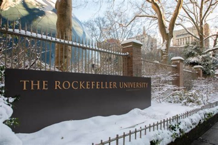 The Rockefeller University &raquo; Patricia and John Rosenwald Laboratory of