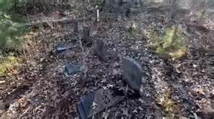 The Saddest Cartel Video The Cruel & Savage Murder Of Maria Fernanda