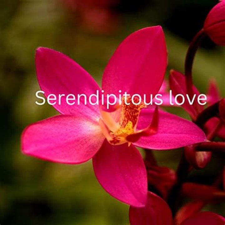 The Serendipitous Encounter: How Alex O'Loughlin And Malia Jones Crossed Paths