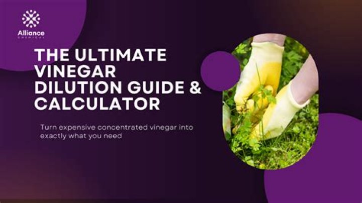The Ultimate Guide To Vinegar Wives: A Comprehensive Handbook For Relationship Success