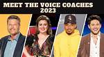 There Are New Coaches on the Voice in Season 24 — Details