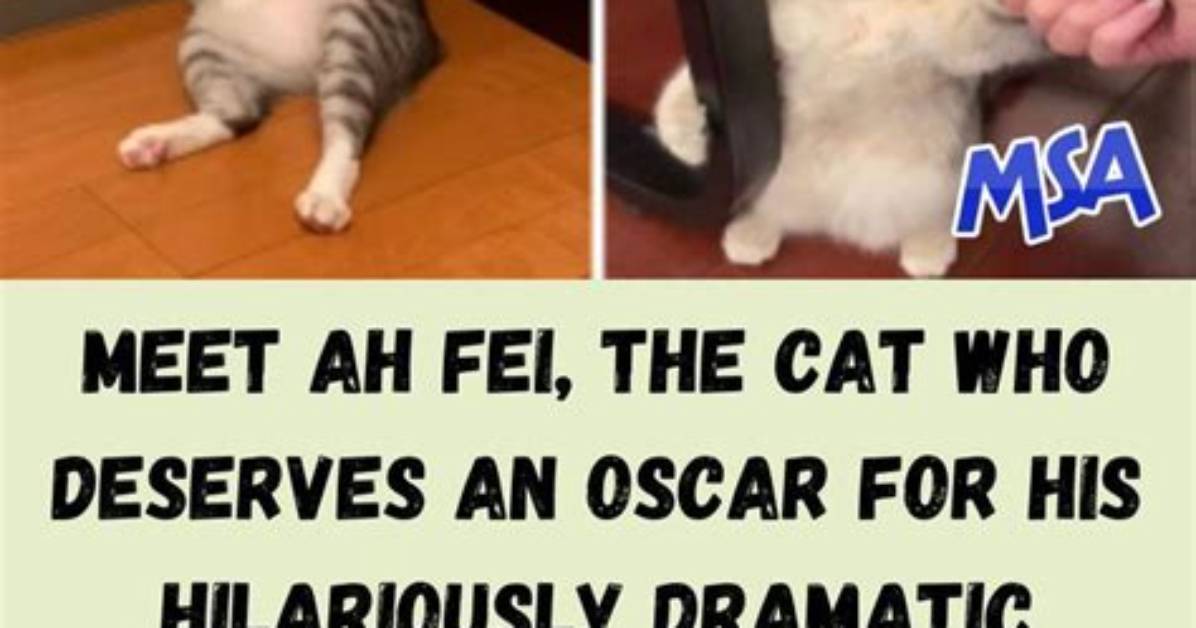 "This Guy Deserves an Oscar!" — Kid Hilariously Pretends His Fake Tattoos Actually Hurt