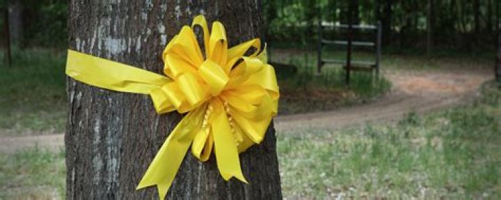 &ldquo;Tie a Yellow Ribbon Round the Ole Oak Tree&rdquo;this day in history News