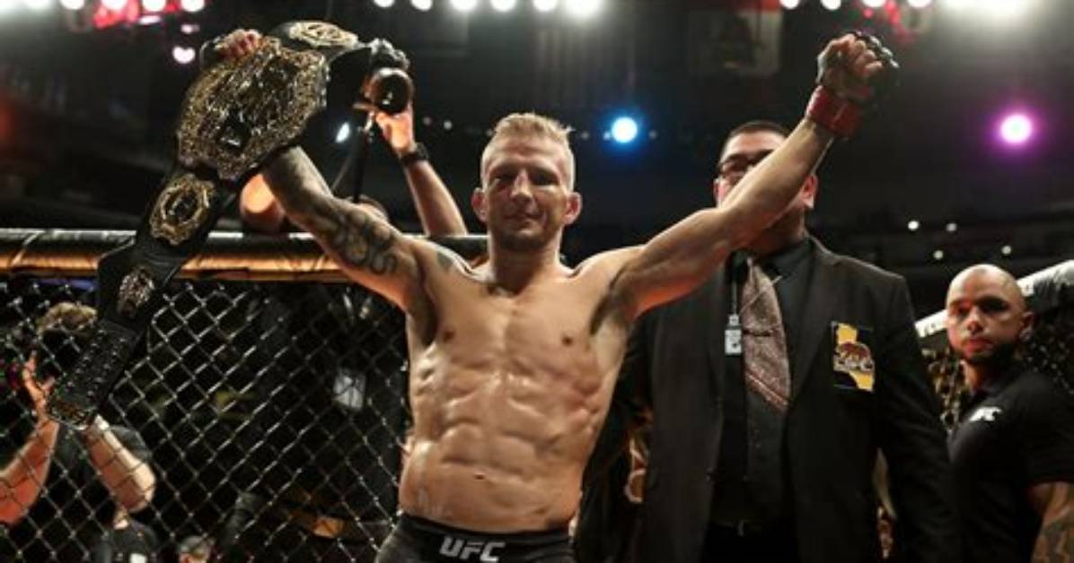 Tj Dillashaw