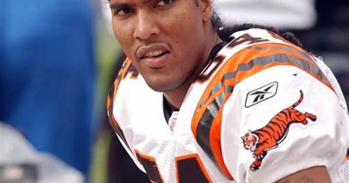 Tj Houshmandzadeh Net Worth | How Rich Is He | Explore His Ethnicity & Family