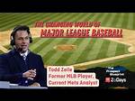 Todd Zeile Net Worth