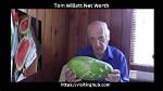 Tom Willett Net Worth 2024