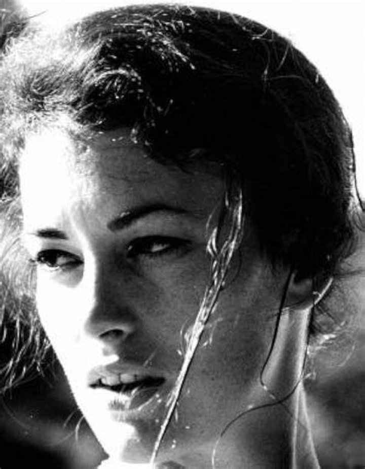 Toni Wayne IMDb