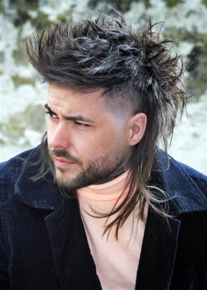 Top 30 Amazing Mullet Hairstyles for Men Cool Mullet Hairstyles