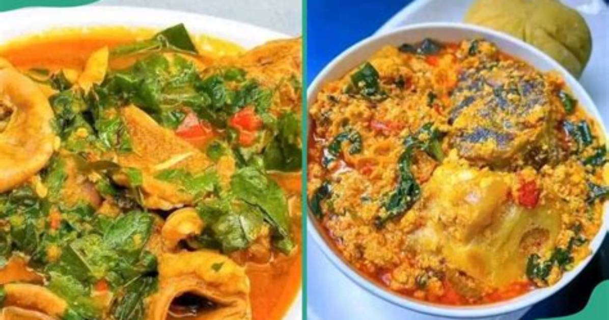 Top 4 Nigerian Bitter Leaf Soup Recipes: Ingredients & Cooking Methods