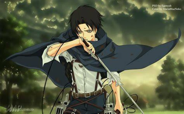 Top 62+ imagen levi ackerman's height Thptnganamst.edu.vn