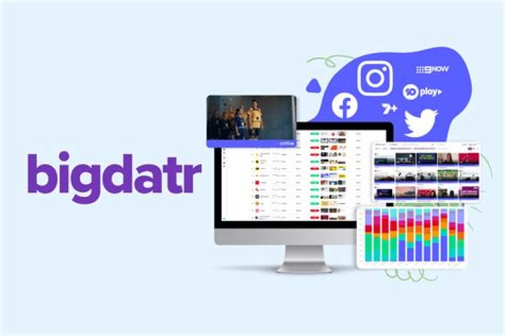 TOPTOON Ad Bigdatr