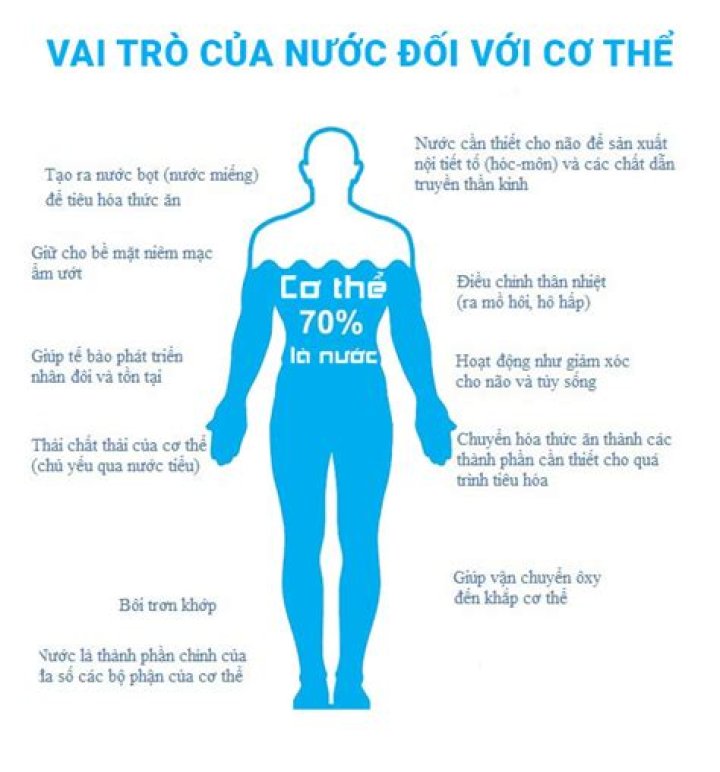 Tại sao cơ thể cần bổ sung Vitamin E? Vinmec