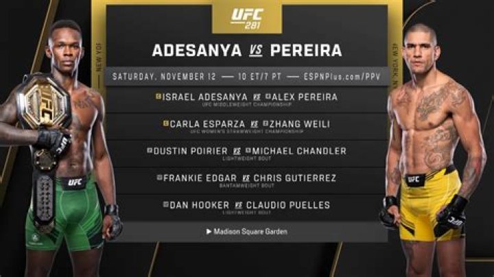 UFC 281 Adesanya vs Pereira Purse Payout, and Salaries SportPaedia