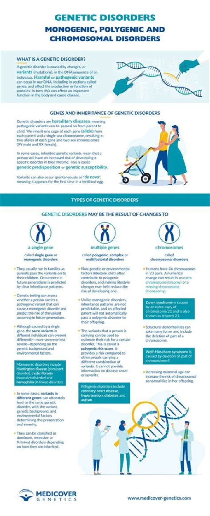 Understanding Edward Bluemel Syndrome: A Comprehensive Overview Of Its Causes And Management