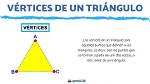 Vertices