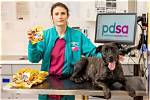 Vet Gives Warning After Dog's Paw Pads Burn off from Hot Pavement