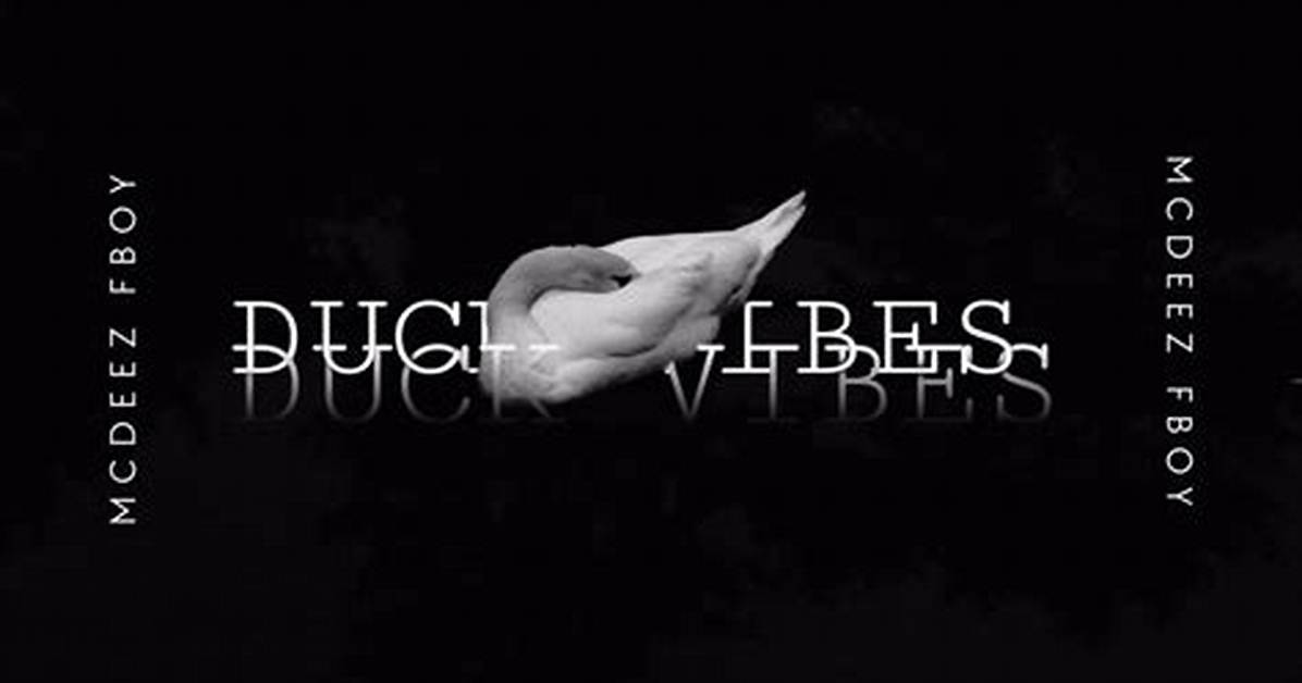 Vibekulture Sa – Duck Vibes Ft Mcdeez Fboy (Mp3 Download)