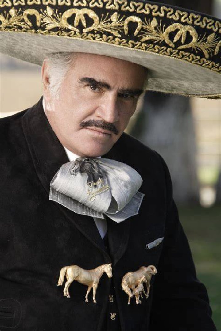 Vicente Fernandez M&M Group