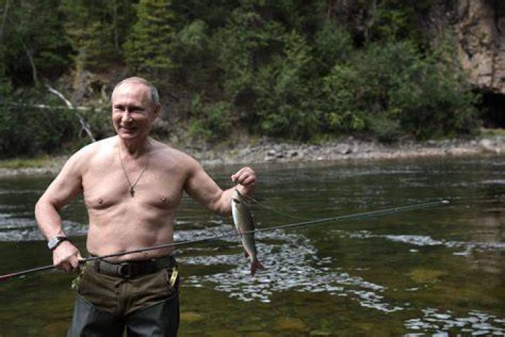 Vladimir Putin photographed shirtless, again, in Siberia ABC News