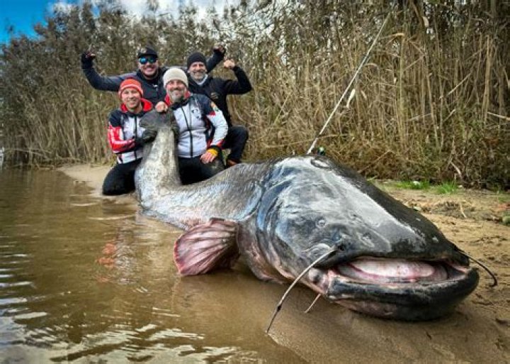 Watch &ldquo;World&rsquo;s Best Catfish&rdquo; Chloe Fountain Reveals How She Transforms
