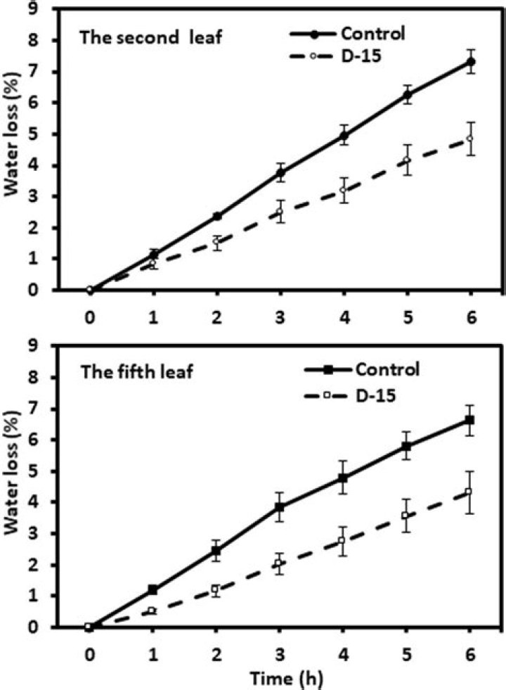 Water loss from Leaf Study Solutions