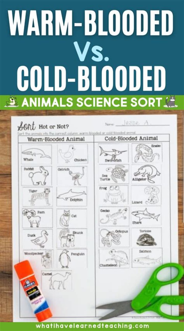 What Are ColdBlooded Animals? WorldAtlas
