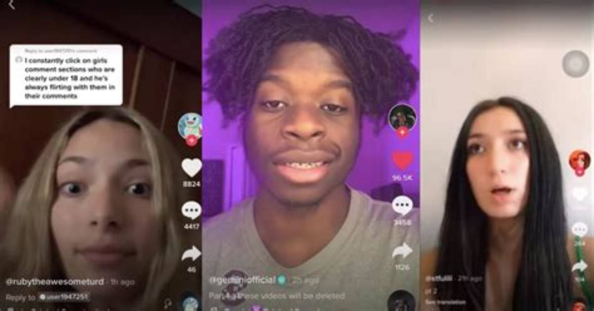What Did Tiktok Star Gemini Do?