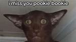 What Does Pookie Mean on Tiktok? Why People Are Using It
