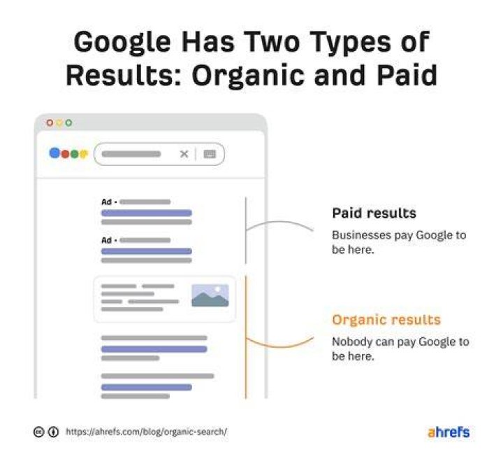 What is Organic Search? Everything You Need to Know