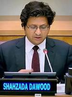 What Is Shahzada Dawood's Net Worth?