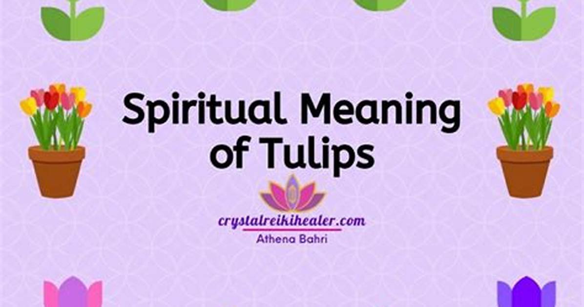 What's the Meaning of Tulips in 'Bridgerton'? the Flower Holds Special Symbolism
