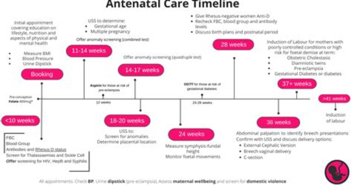 When to Start Antenatal Visits During Pregnancy?