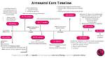 When to Start Antenatal Visits During Pregnancy?