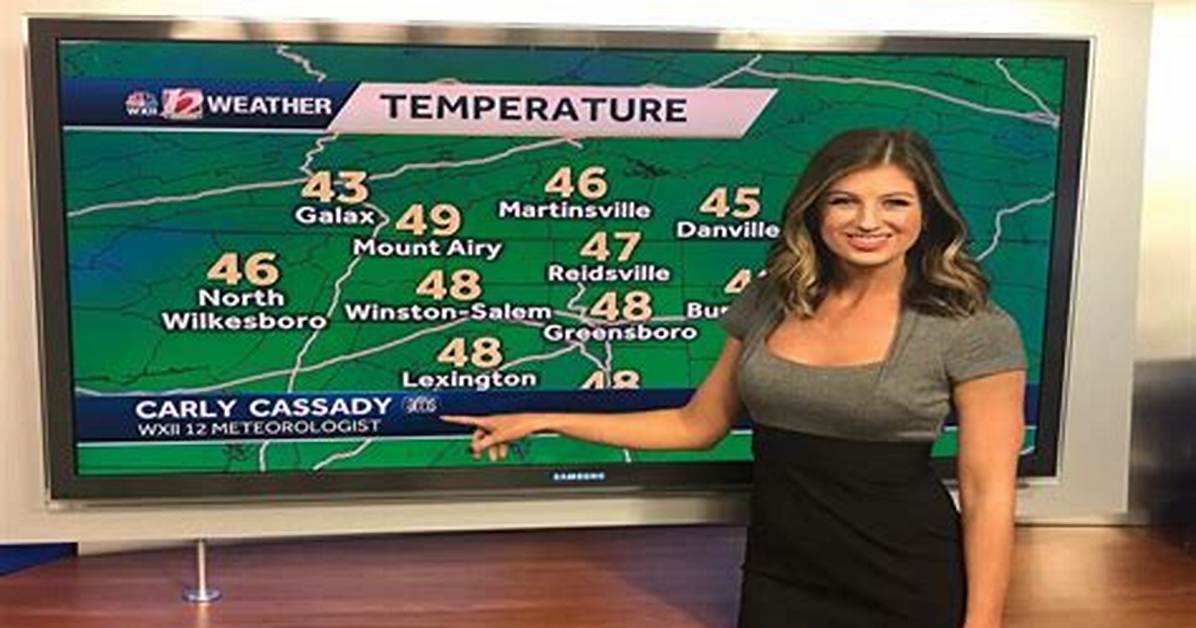 Where Is Carly Cassady Going? Is She Leaving Fox 31 Kdvr?
