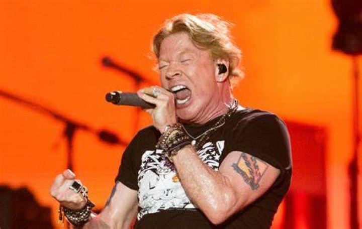 Who Are Axl Rose's Children? A Look At The Guns N' Roses Star's Family