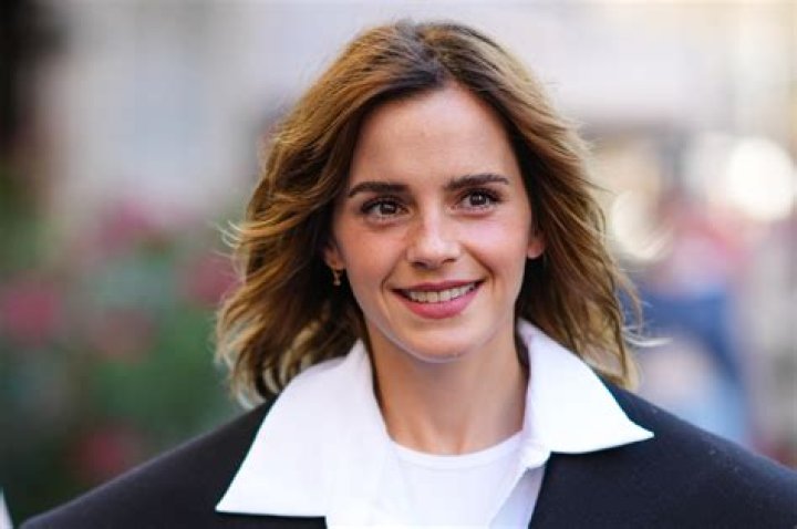 Who is Emma Watson&rsquo;s rumoured boyfriend Brandon Green? The son of