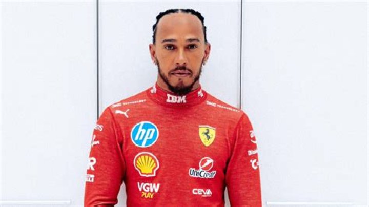Who is Lewis Hamilton&rsquo;s brother, Nicolas Hamilton? Silver Arrows Net