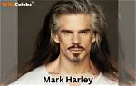 Who Is Mark Harley? Wiki, Biography, Height, Wife, Family, Age, Movies, Net Worth & More