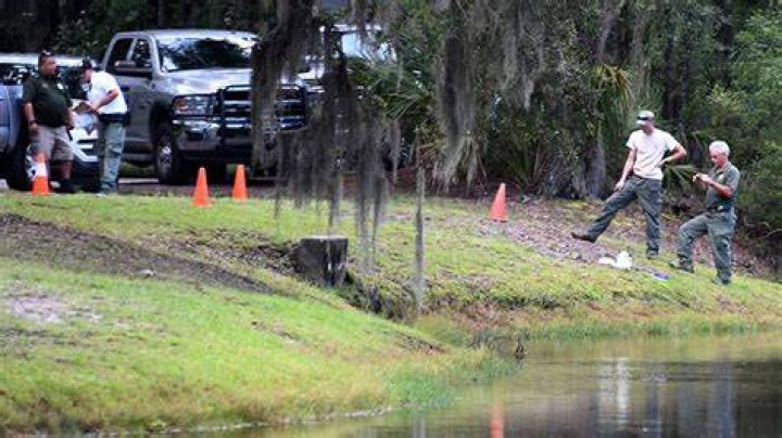 Who killed Hilton Head tiger shark and ripped its stomach out? Hilton