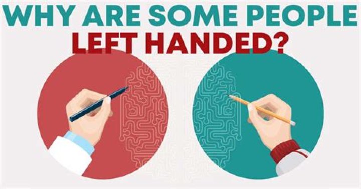 Why Are People Left (or Right) Handed? Live Science