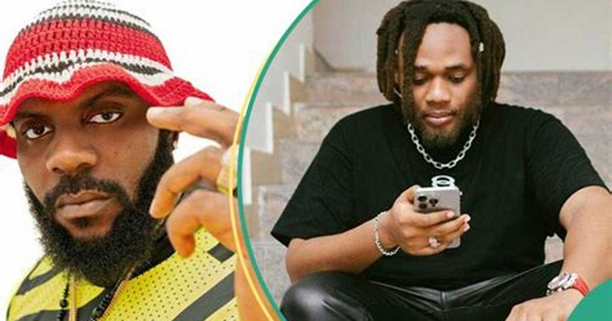 “Why He Run for Lasu”: Drama as Odumodu Blvck, Others Confront Security Men at Buju's Concert
