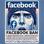Why Is Chicken Soup Flagged on Facebook? Here's What We Know